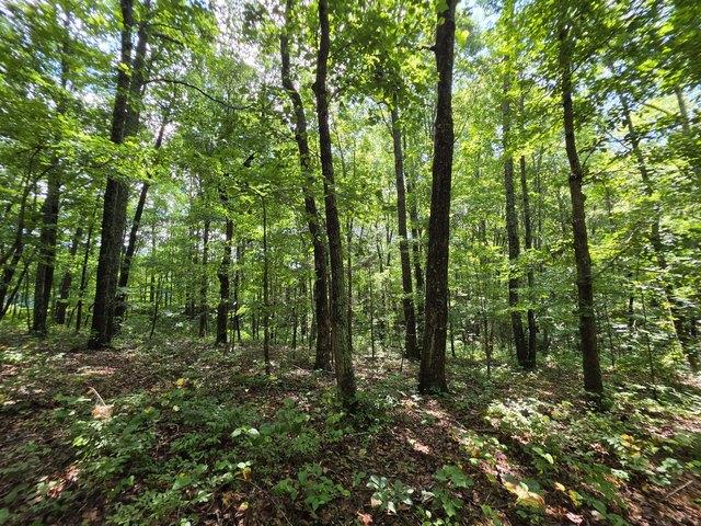 Land for sale in Tennessee