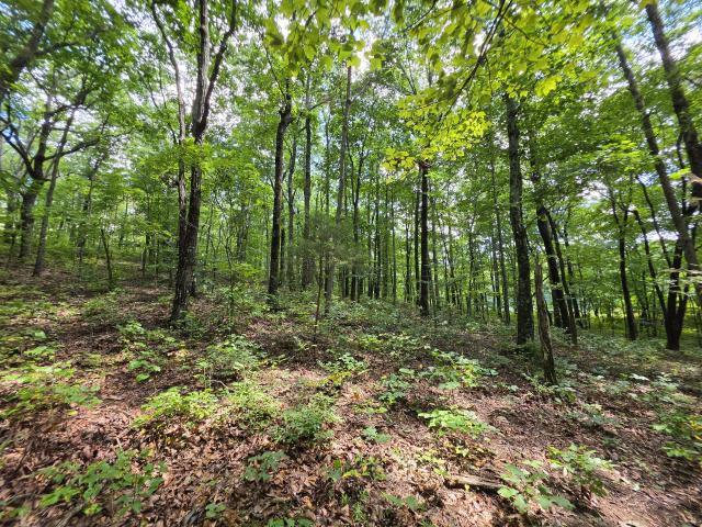 Land for sale in Tennessee