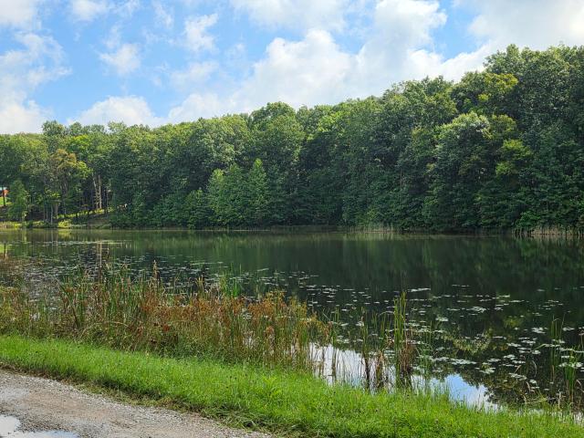 Land for sale in Tennessee