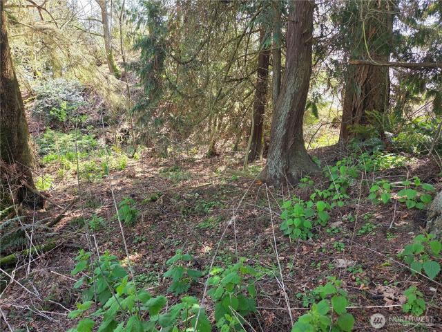 Land for sale in Everett, Snohomish County