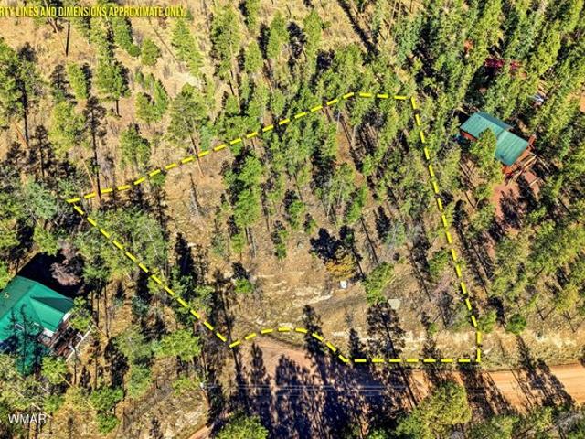 Land for sale in Alpine, Arizona