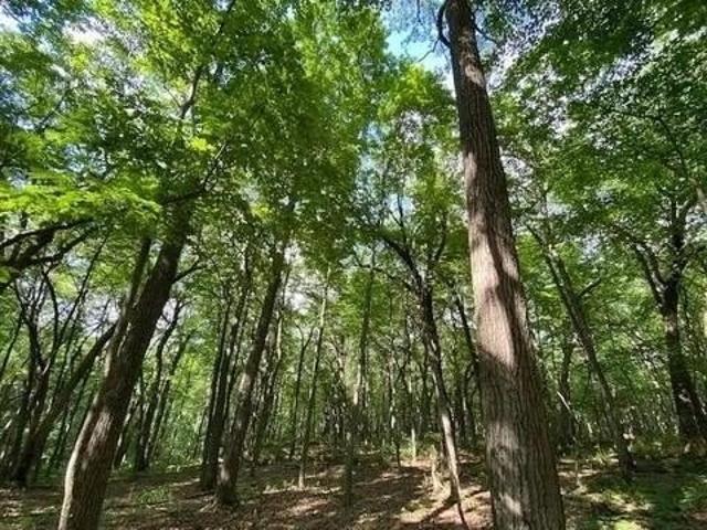 Land for sale in Village of Cross Plains, Dane County
