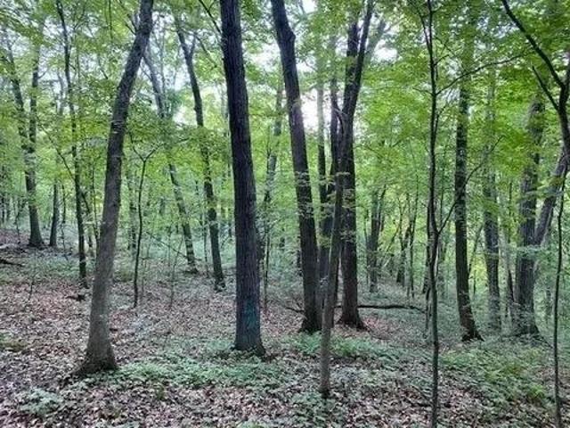 Land for sale in Pine Bluff, Dane County