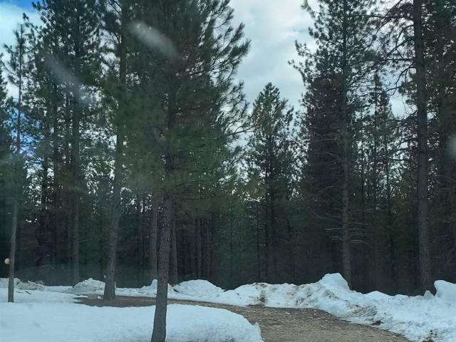 Land for sale in Idaho City, Idaho