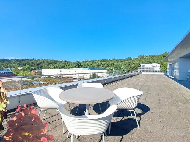 Haus mieten in Baden, Aargau