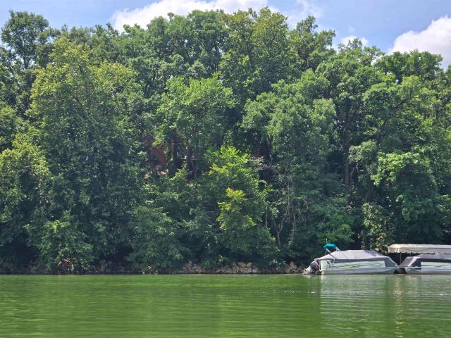 House for sale in Apple River, Illinois