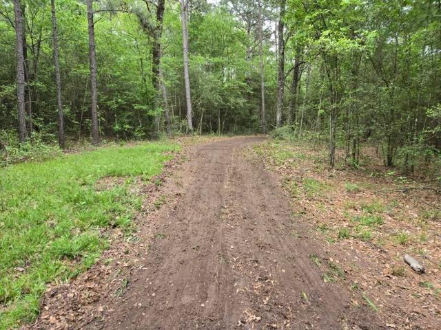 Land for sale in Walker, Texas