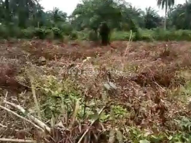 Land for sale in Etche, Rivers