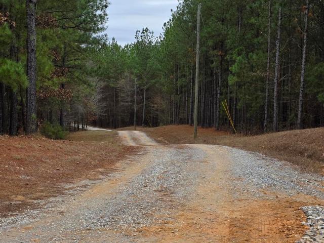 Land for sale in Chelsea, Alabama