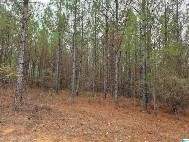 House for rent in Alabaster, Alabama