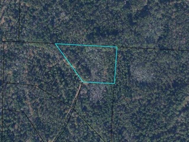 Land for sale in Bonifay, Florida