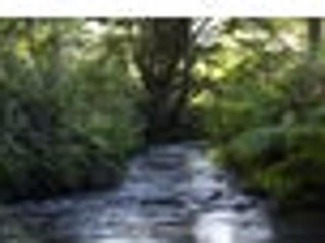 House for sale in Karetu, Northland