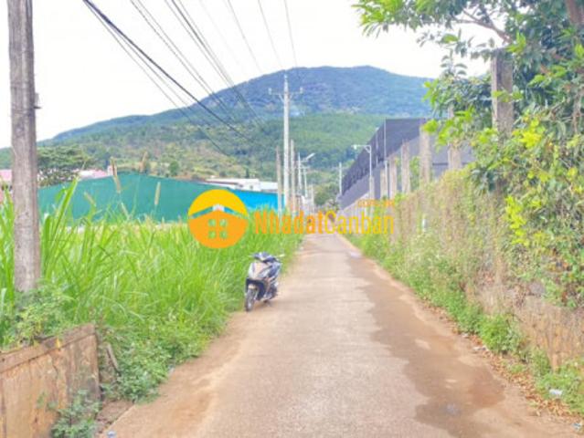 Mặt bằng bán
