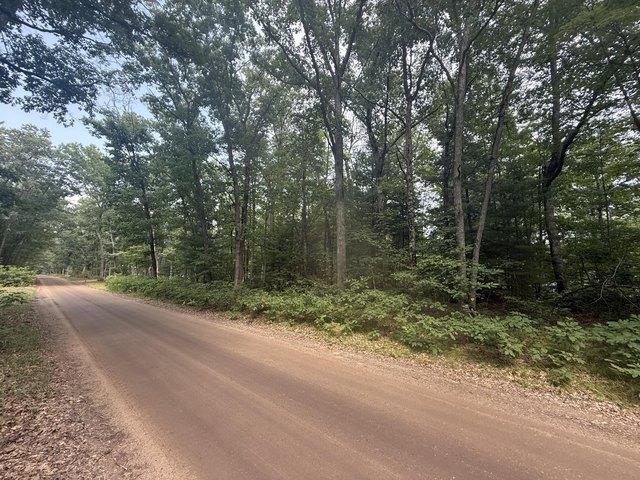 Land for sale in Michigan