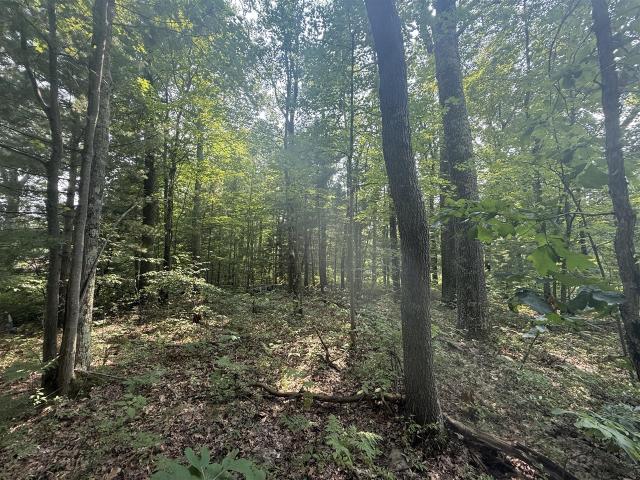 Land for sale in Michigan