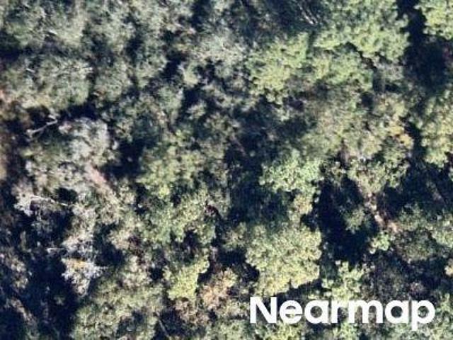 Land for sale in Interlachen, Florida