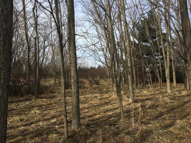 Land for sale in Manistee, Michigan