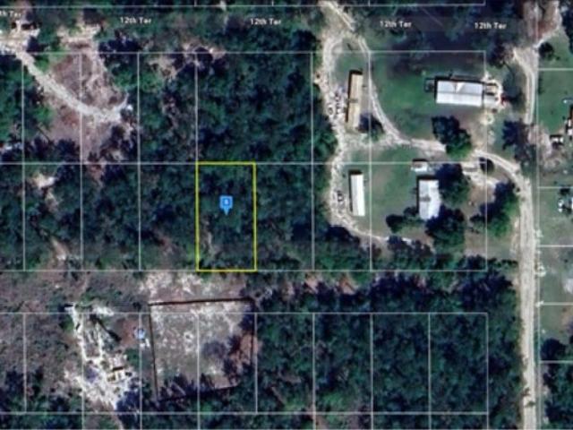 Land for sale in Suwannee, Florida