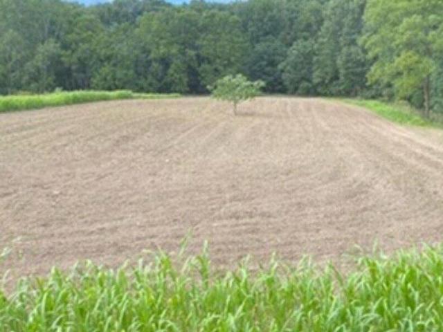 Land for sale in Rollin, Michigan