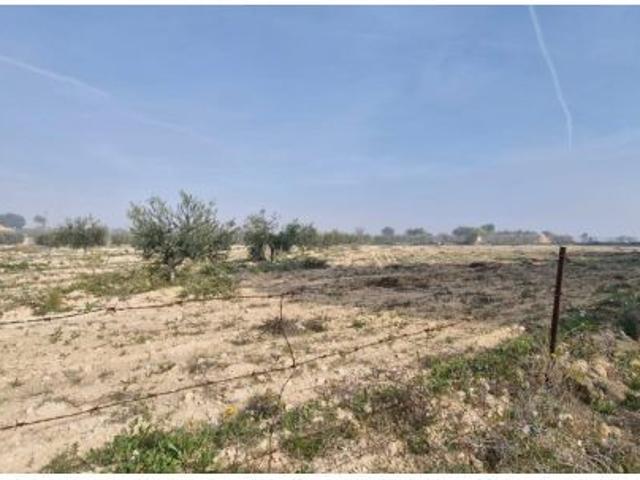 Local Comercial en venta en Maitino, el Baix Vinalopó