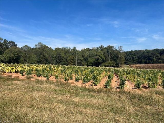 Land for sale in Nebo, Boonville