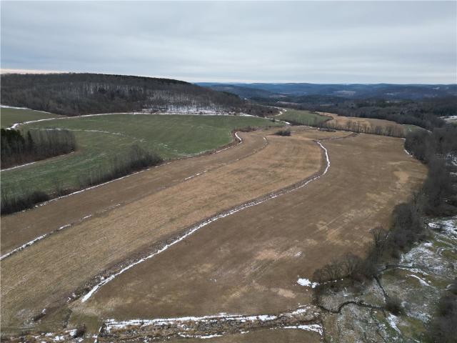 Land for sale in Troupsburg, New York