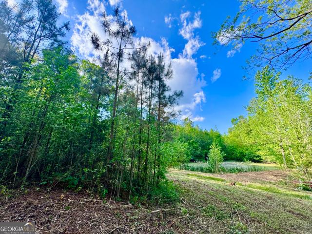 Land for sale in Roopville, Georgia