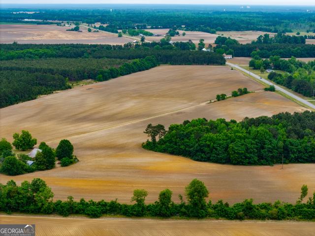 Land for sale in Stapleton, Georgia