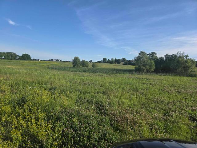 Land for sale in Linden, Michigan