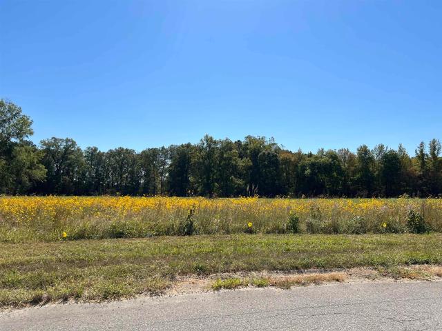 Land for sale in Ark