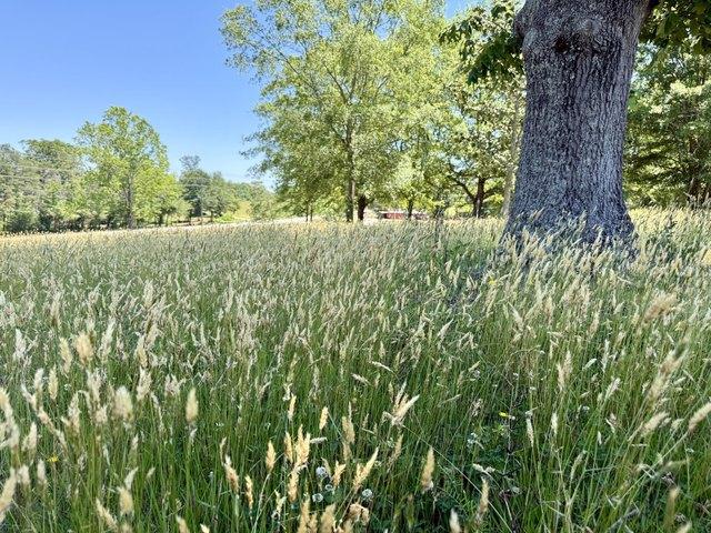 Land for sale in Easley, South Carolina