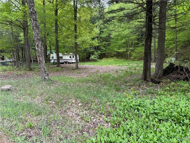 Land for sale in Oneida, New York