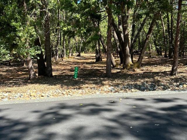 Land for sale in Cedar Ridge, California