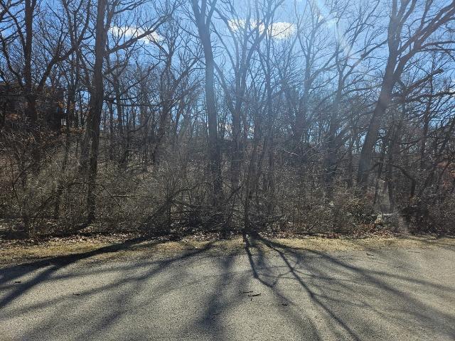 Land for sale in Dixon, Illinois