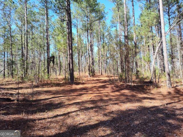 Land for sale in Elbert, Georgia