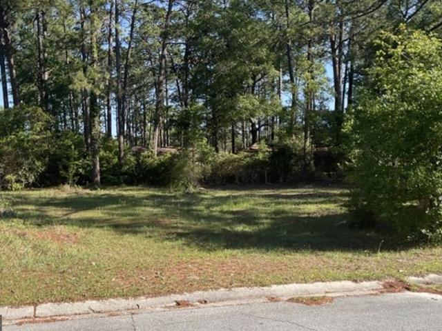 Land for sale in Waycross, Georgia