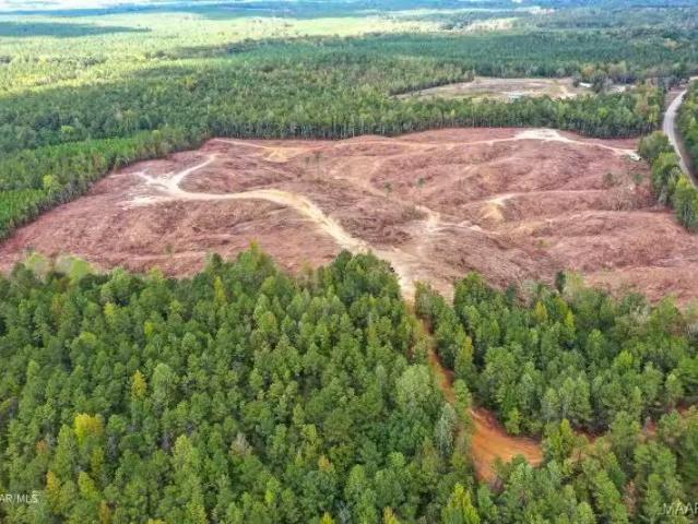 House for rent in Selma, Alabama