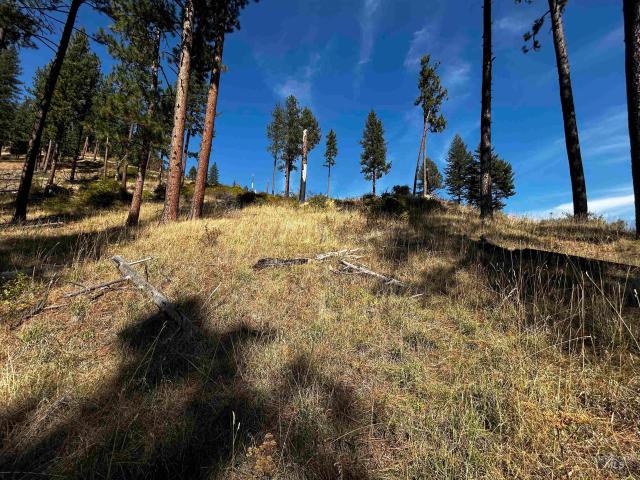 Land for sale in Grangeville, Idaho County