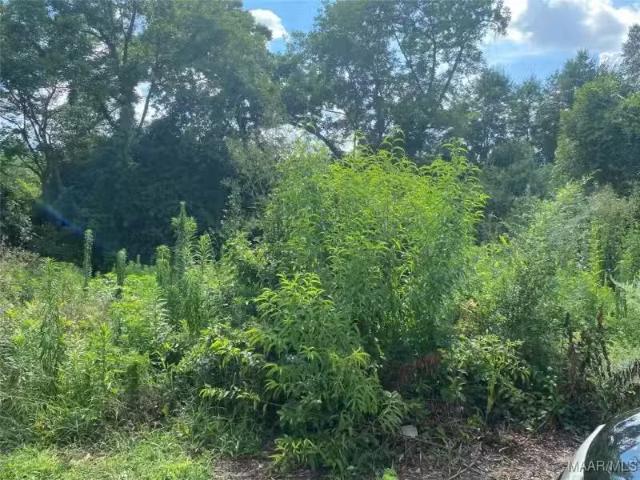 House for rent in Selma