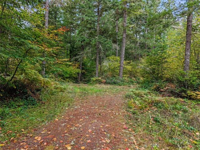 Land for sale in Skookumchuck, Tenino