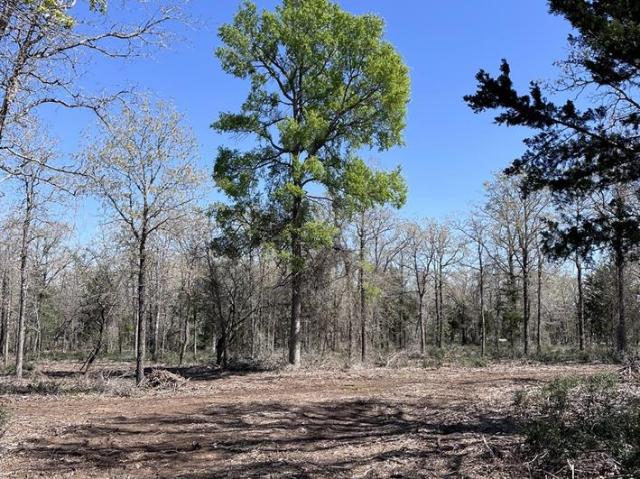 Land for sale in Lexington, Texas