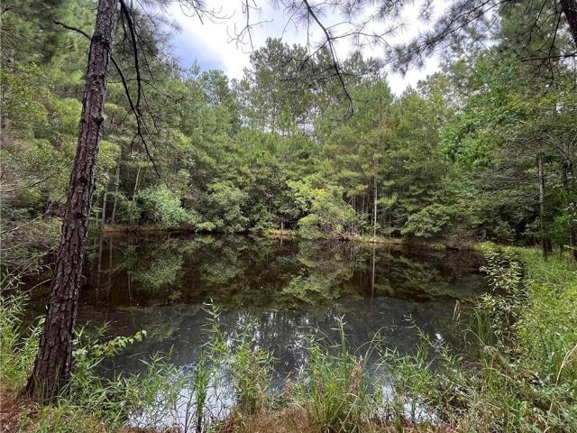 Land for sale in Covington, Louisiana