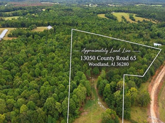 Land for sale in Woodland, Randolph County