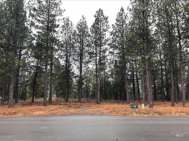 Land for sale in Donnelly, Valley County