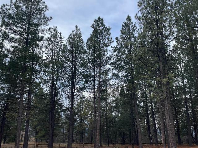 Land for sale in Donnelly, Idaho