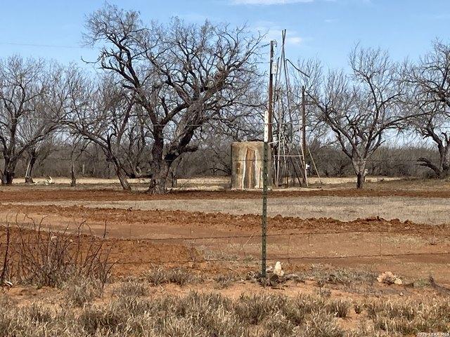 Farm for sale in Dilley, Frio County