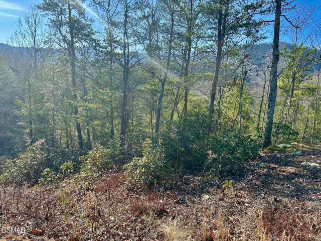 Land for sale in Tennessee