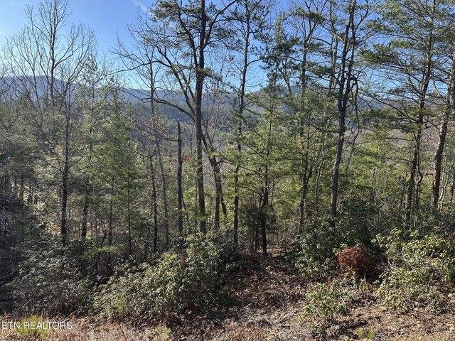 Land for sale in Tennessee