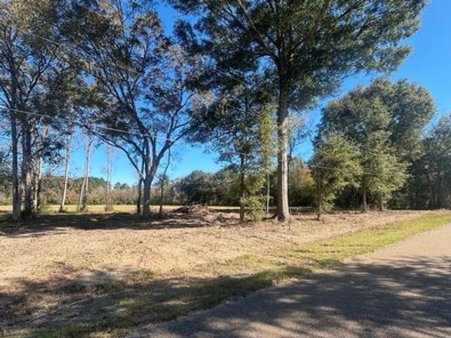 Land for sale in Independence, Louisiana
