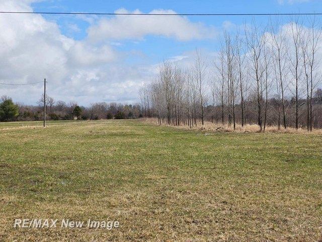 Land for sale in Montrose, Genesee County